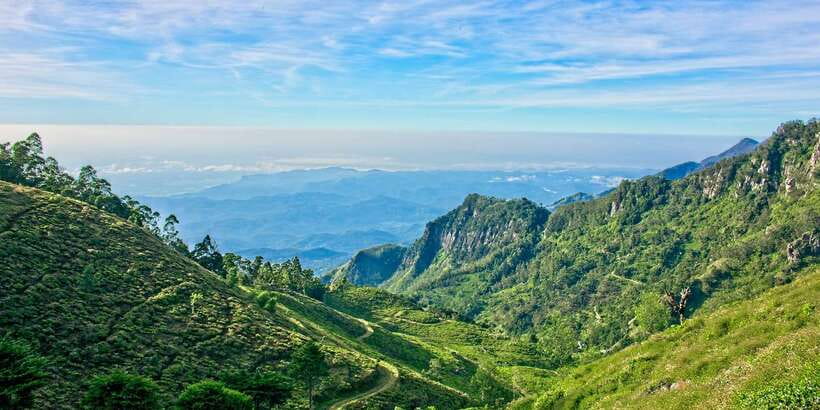 Sri Lanka: 2-Day wildlife tour; rainforest and National park - Waterfalls and Side Stops: Nice Breaks, Not Too Much Wandering