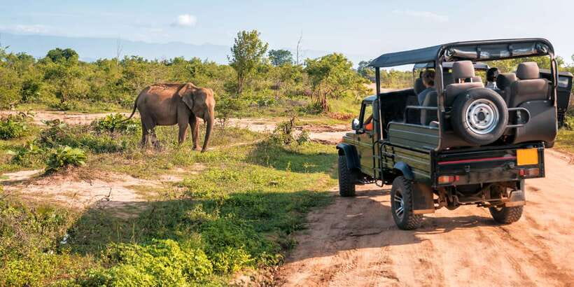 Sri Lanka: 2-Day wildlife tour; rainforest and National park - Logistics That Affect Your Comfort (and Your Photos)