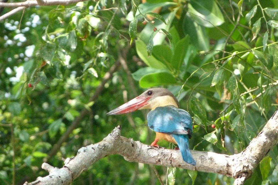 Sri Lanka: 2-Day wildlife tour; rainforest and National park - Price and Value: What $350 Covers and What You Should Budget Extra