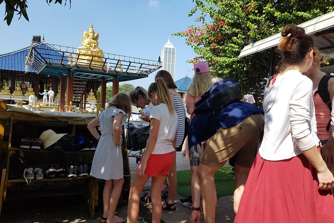 Sri Lanka Multi-Day Private Tour with Driver and Vehicle - Private Driver in Sri Lanka: Real Flexibility, Not Fake Options
