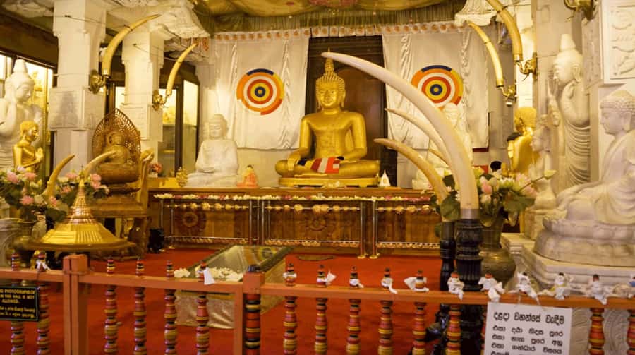 Sri Lanka Private 2-day Tour:Train Trip, Kandy, Nuwara Eliya - Day 1 in Kandy: spice garden stop, Temple of the Tooth, and city walking