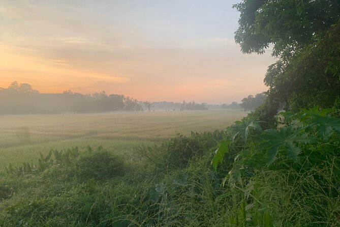 Sri Lanka - Private Ratnapura Gem Tour with Gem and jewelry Expert - Key Highlights You’ll Actually Feel