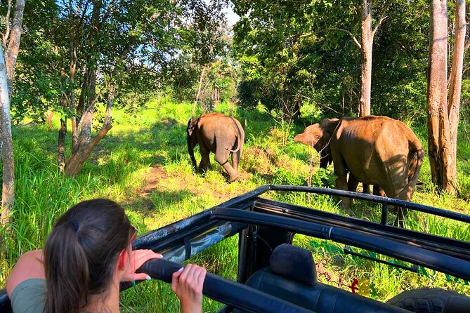 Sri Lanka Tour 06 Nights 07 Days with Hotels & Transport - Price and Value: What $687 Buys (and What It Doesn’t)