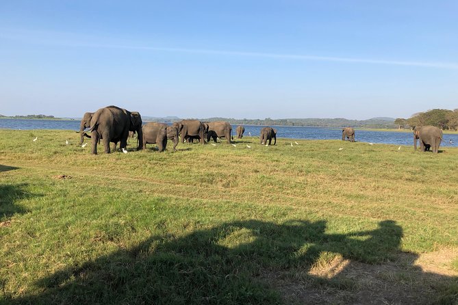 Sri Lanka Tour in 8 Days - Tea country from Ramboda and Nuwara Eliya to Ella by train