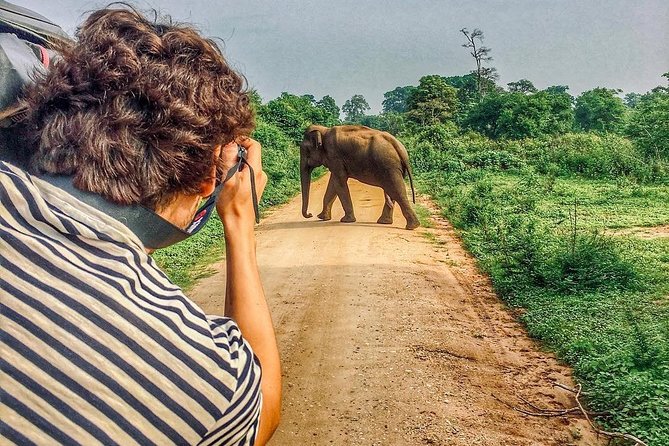 Sri Lanka tour itinerary . 6N/7D with driver, vehicle and H/B accommodations - Getting picked up in Colombo and rolling toward Sigiriya