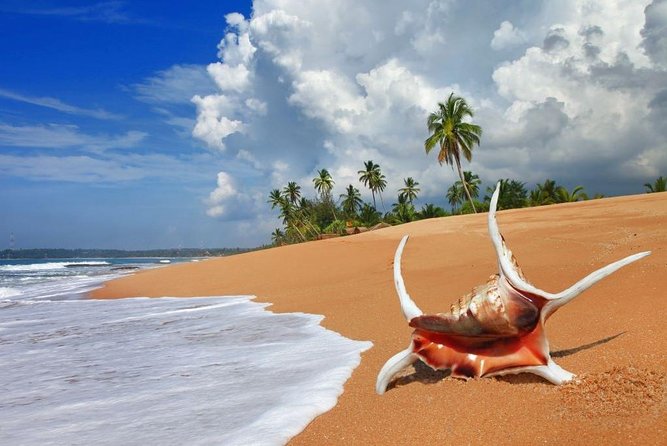 Sri Lanka tour itinerary . 6N/7D with driver, vehicle and H/B accommodations - Dambulla caves and Kandy’s Temple of the Sacred Tooth
