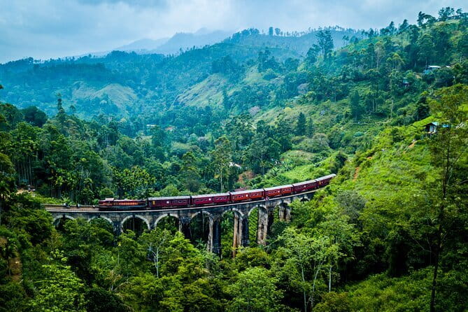 Tailor-made Multi-day Private Tour Packages in Sri Lanka - Day 2: Pinnawala Elephants and the Dambulla Cave Temple