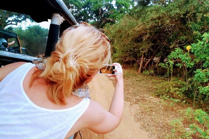 Tour Packages in Sri Lanka - Most Popular Round Tour - All in One Tour - Nanuoya to Ella by Train: The Scenic Middle of the Trip