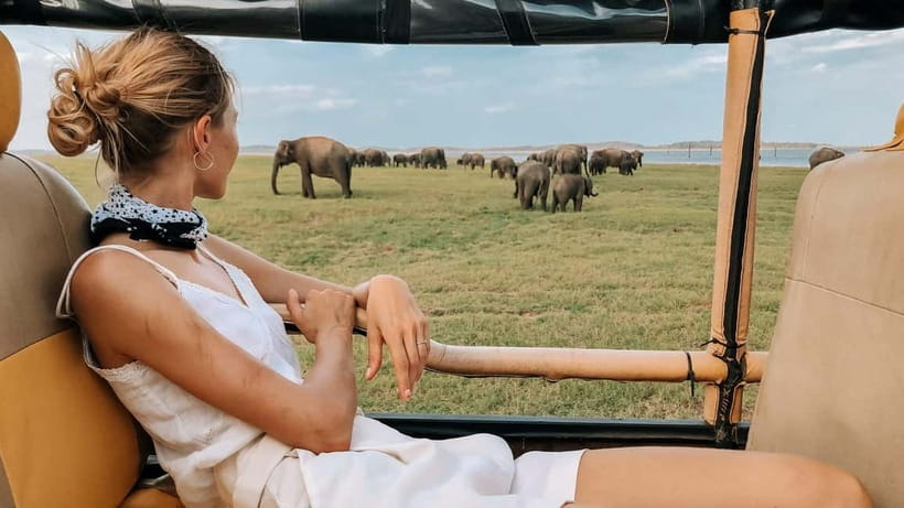 UDAWALAWA SAFARI TOUR from HAMBANTOTA PORT (Shore Excursion) - Should you book this Udawalawe Safari from Hambantota Port?