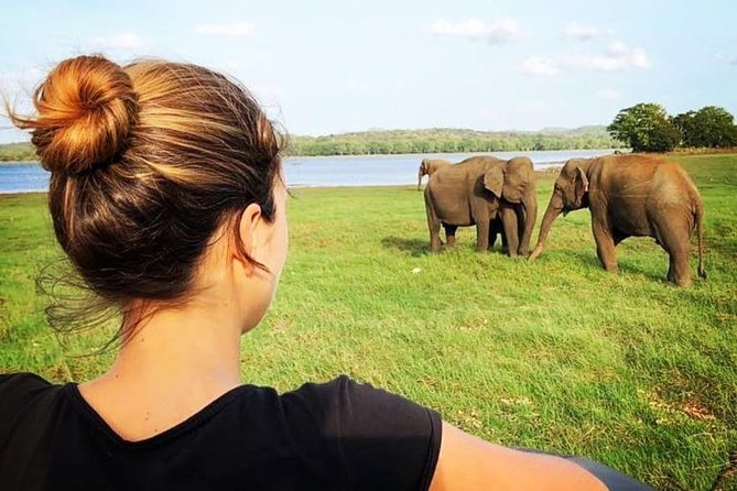 Udawalawe National Park Safari With Transfers From Colombo - Why This Colombo-to-Udawalawe Safari Is the Right Kind of Easy