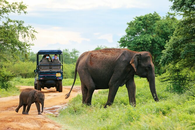 Udawalawe National Park Safari With Transfers From Colombo - Stop 1 in Colombo: The Start That Sets the Tone