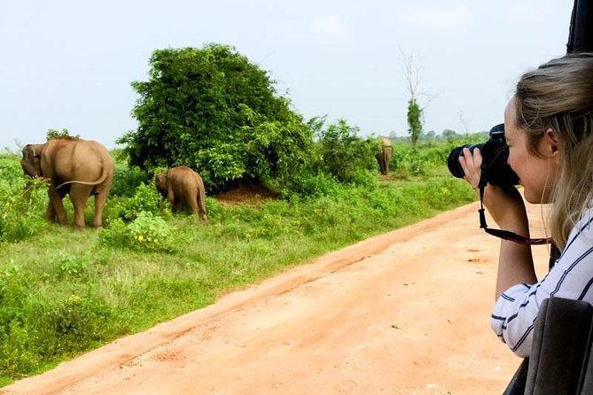 Udawalawe Safari Day Trip from South Region & Transfer to Ella - Who this tour fits best (and who might want another option)