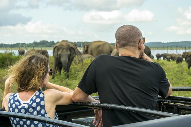 Udawalawe Safari Day Trip from South Region & Transfer to Ella - From the south coast to the park: how the transfers shape your day