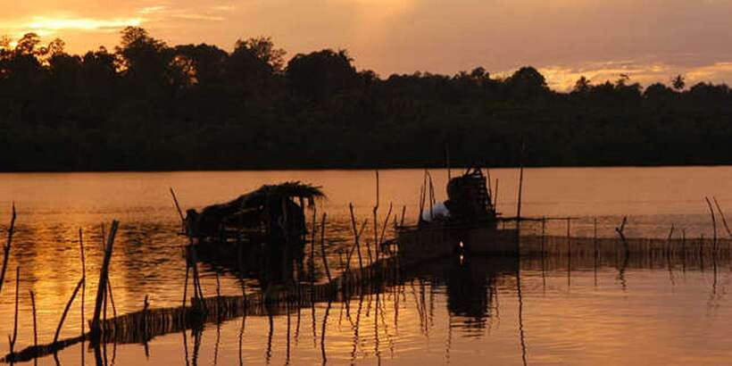 West coast Beach, River Mangroves lagoon, Wildlife boat Tour - Who This Tour Fits Best (and Who Should Skip)