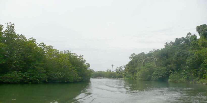 West coast Beach, River Mangroves lagoon, Wildlife boat Tour - Moonstone Mine, King Coconut, and Other Included Comfort Stops