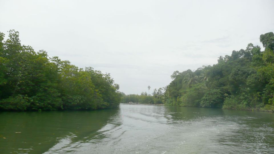 West coast Beach, River Mangroves lagoon, Wildlife boat Tour - Price and Logistics: Does $90 Feel Fair?