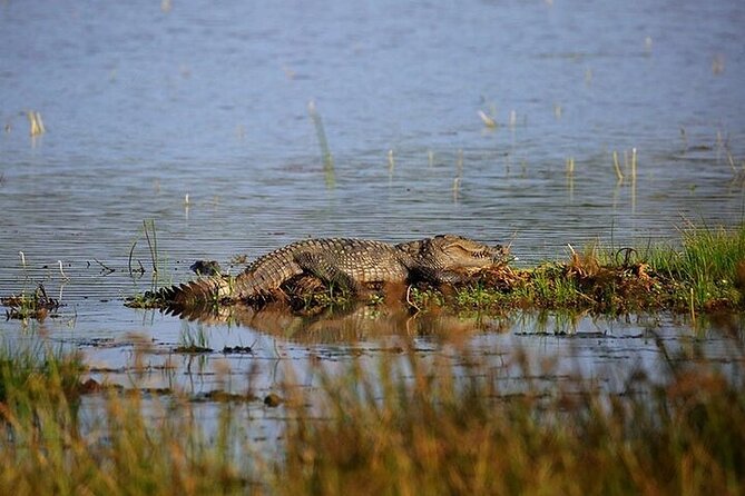 Wilpattu National Park Jeep Safari from Negombo / Waikkal (All Inclusive) - Getting to Wilpattu: the long drive from Negombo pays off