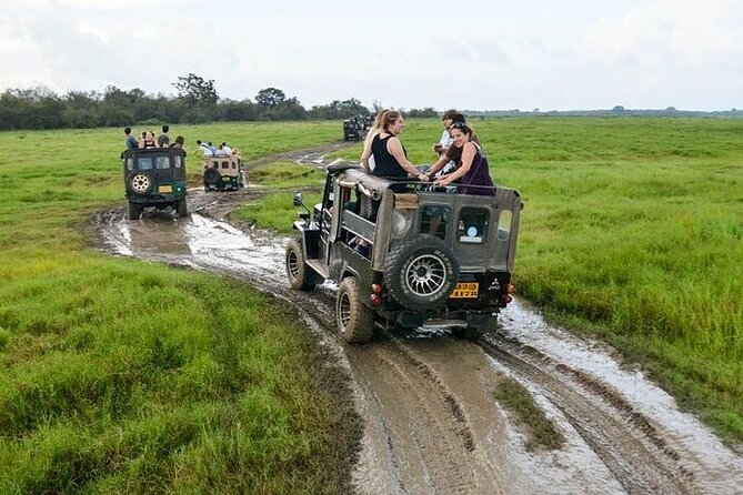 Wilpattu National Park Jeep Safari from Negombo / Waikkal (All Inclusive) - Lunch pacing and the “long day” reality