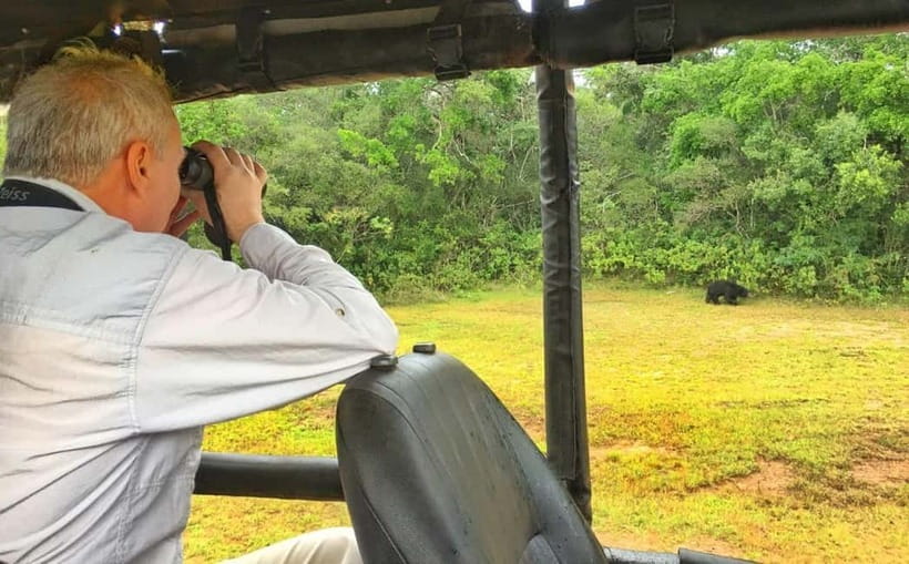 Wilpattu: Private Safari Day Trip with Lunch & Entry Fees - Who This Tour Suits Best