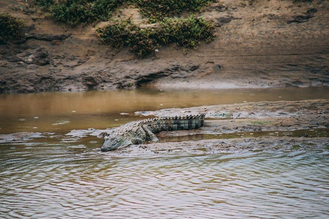 Yala Full Day Safari with Picnic Lunch - Private & All Inclusive - Bentota Travel Mart service: communication that reduces stress