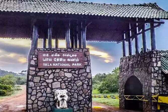 Yala National Park Private Jeep Safari From Colombo & Negombo - Wildlife expectations in Yala: the big names and the real odds