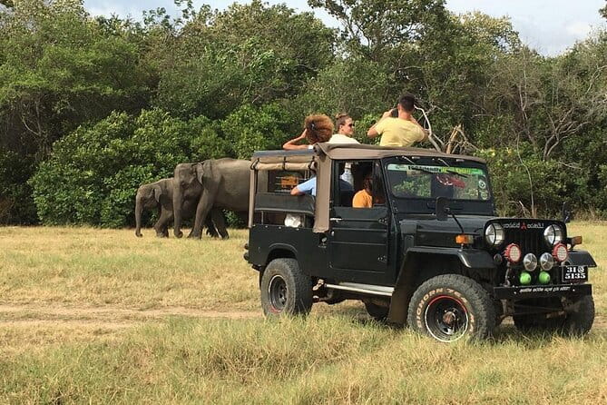 Yala National Park Private Jeep Safari From Colombo & Negombo - Logistics that matter: time, tickets, and what to confirm