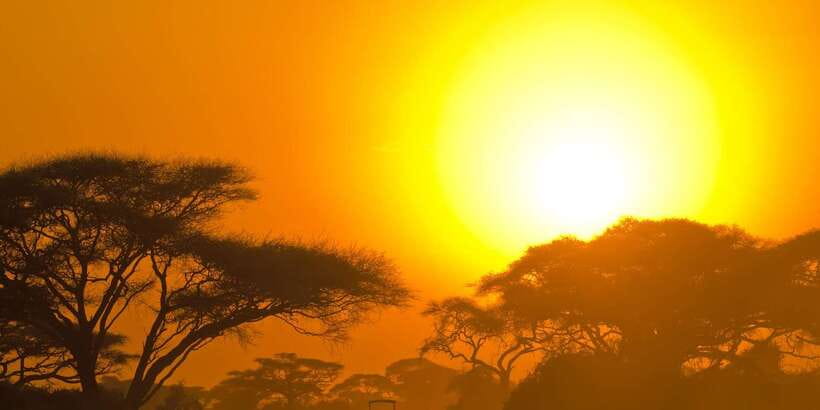 Yala Safari All-Inclusive Package with Convenient Pick Up - Key takeaways before you book